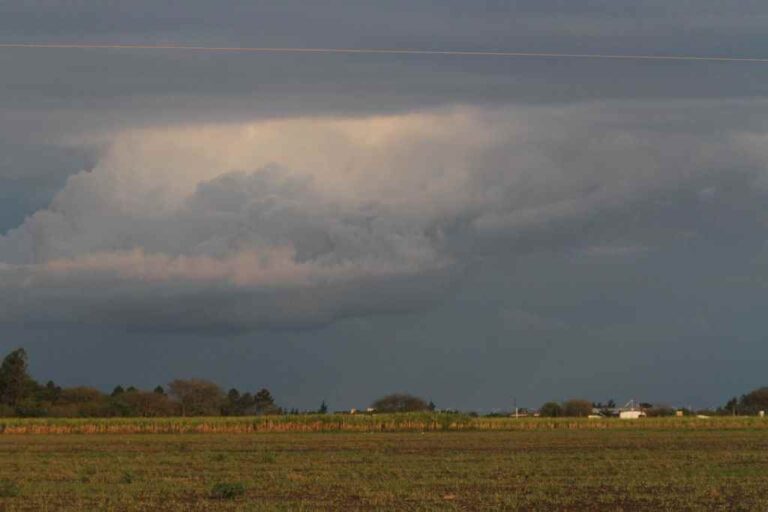 Las nubes negras fueron bienvenidas por los productores. Archivo.