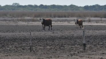 Michlig dijo que "la sequía es más que extrema