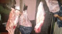 En un precario galpón estaba toda esta carne colgada. Gentileza.
