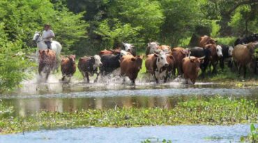 Tanto en el norte provincial