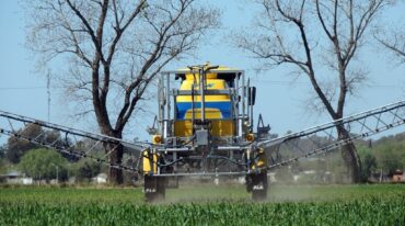 Dicen los productores: "Nosotros ya decidimos no seguir apelando