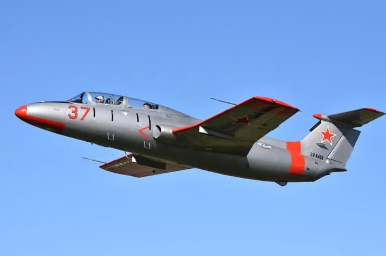 El avión L-29 perdió el control y se estrelló sobre un campo. gentileza