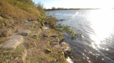 La construcción de taludes ilegales tiene como principal objetivo la cría de ganado o el desarrollo de agricultura. Imagen ilustrativa.