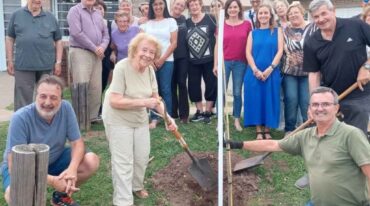 El paseo estará formado por 86 lapachos rosados