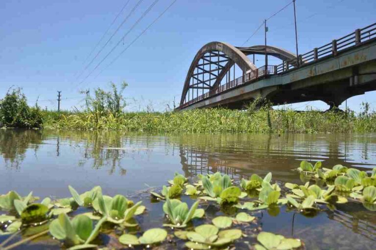 En la costanera de Santo Tomé
