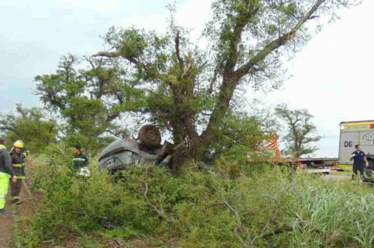 El automóvil tras despistar termina contra un árbol