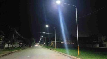 La Comuna plantó unas 2.000 columnas