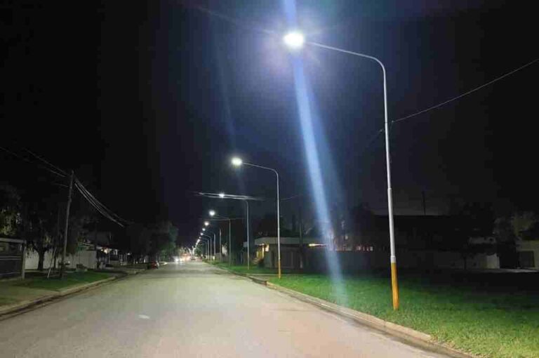 La Comuna plantó unas 2.000 columnas