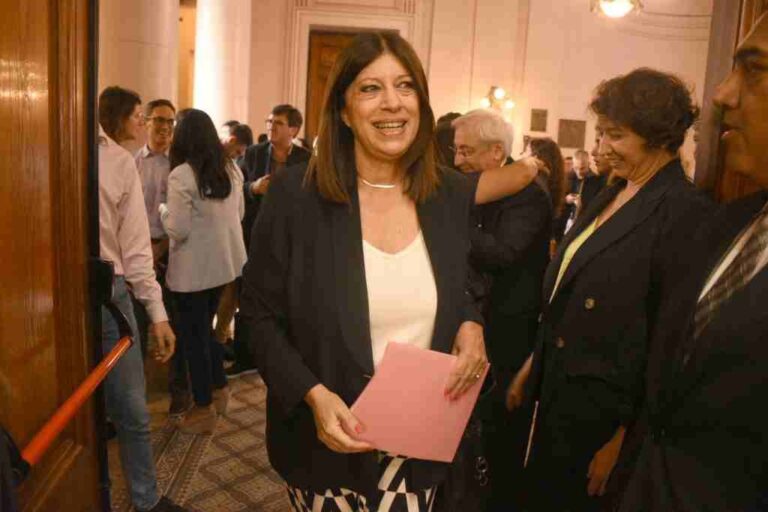 Clara García es la primera mujer en presidir la Cámara de Diputados provincial.  Guillermo Di Salvatore.