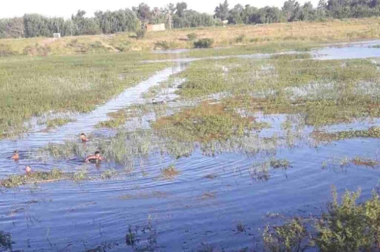 Sus propios amigos buscaron al joven en el bañado hasta que hallaron su cadáver sumergido. Gentileza.