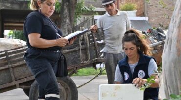 Señalaron que 'el caso que encontremos un animal que está maltratado