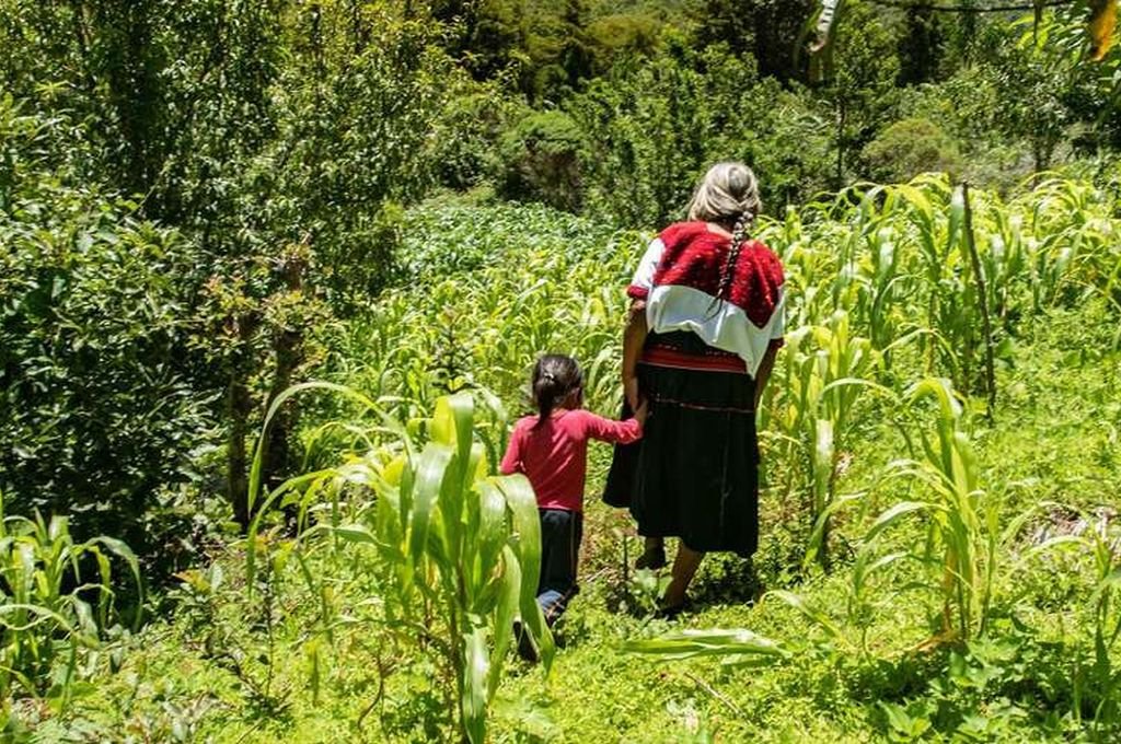Con su proyección en México comenzó una distribución en festivales que se extenderá a lo largo de todo el año 2024