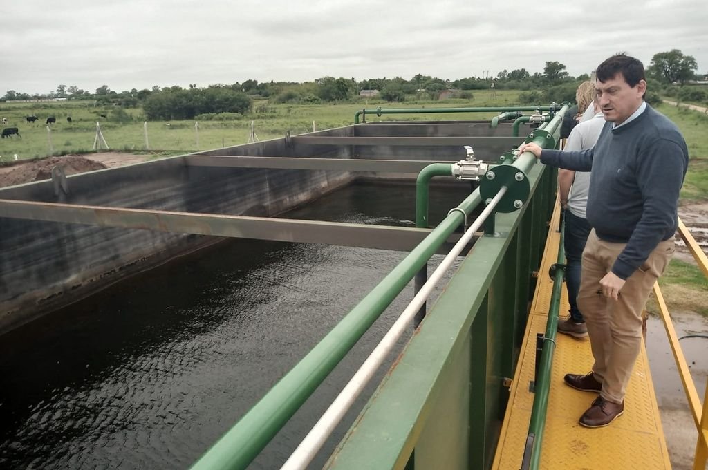 El director provincial