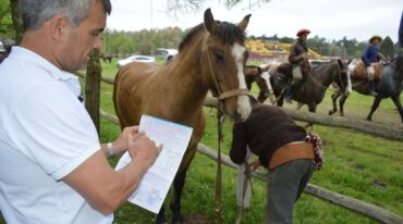 El sistema está anclado en la base de la Agencia de Seguridad Alimentaria (Assal) del Ministerio de Salud provincial. Se comenzó a diseñar en el año 2014 y tomó relevancia con la alerta de carbunclo en animales y personas. Gentileza