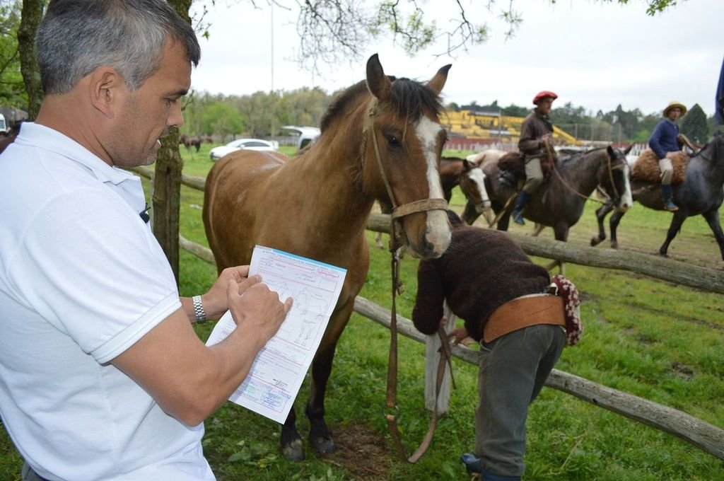 El sistema está anclado en la base de la Agencia de Seguridad Alimentaria (Assal) del Ministerio de Salud provincial. Se comenzó a diseñar en el año 2014 y tomó relevancia con la alerta de carbunclo en animales y personas. Gentileza
