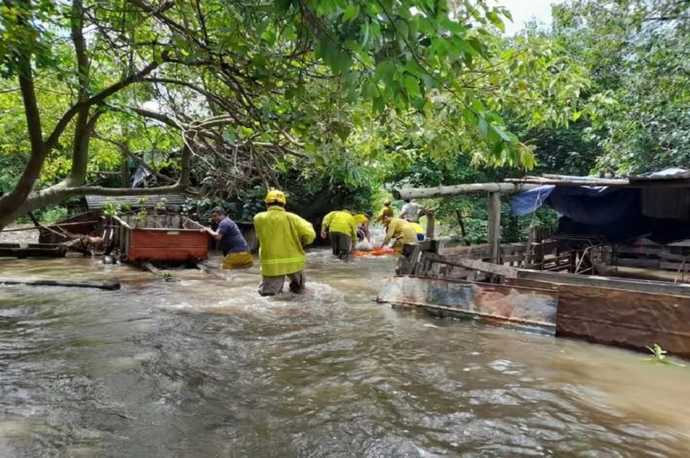 Eso hizo que enero de 2024 sea el segundo mes con mayor precipitación registrada después de abril de 1998 cuando se contabilizaron 522.5 mm. Mirador