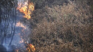 Si bien la problemática de los incendios estuvo casi siempre circunscripta a los ecosistemas boscosos del centro y sur de nuestro país