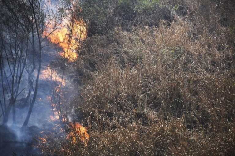 Si bien la problemática de los incendios estuvo casi siempre circunscripta a los ecosistemas boscosos del centro y sur de nuestro país