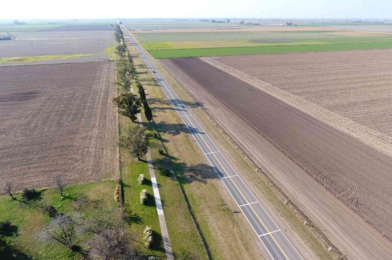 "La activa participación de la Facultad de Ciencias Agrarias en este ámbito