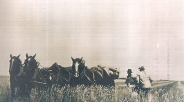 Era de toda la familia extendida y un testimonio de la colonización del campo santafecino. Archivo