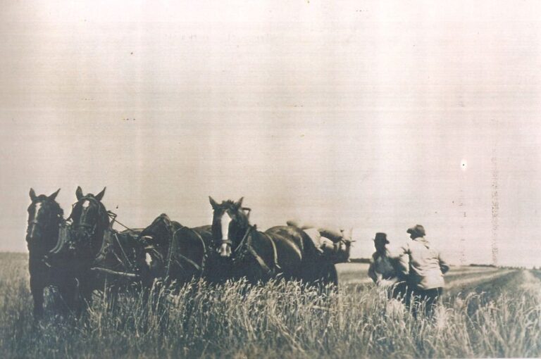 Era de toda la familia extendida y un testimonio de la colonización del campo santafecino.  Archivo