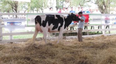 Vidriera genética se llevará a cabo el próximo viernes 12 de Abril en las instalaciones de la Sociedad Rural Las Colonias