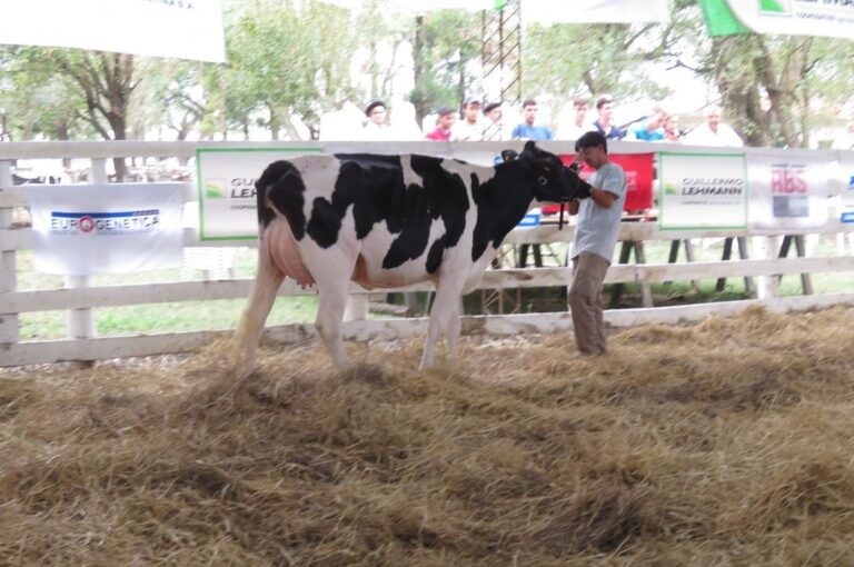 Vidriera genética se llevará a cabo el próximo viernes 12 de Abril en las instalaciones de la Sociedad Rural Las Colonias