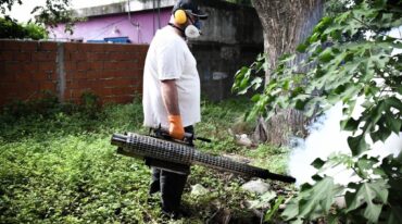 La fumigación resulta clave también para combatir el dengue en la provincia. Archivo