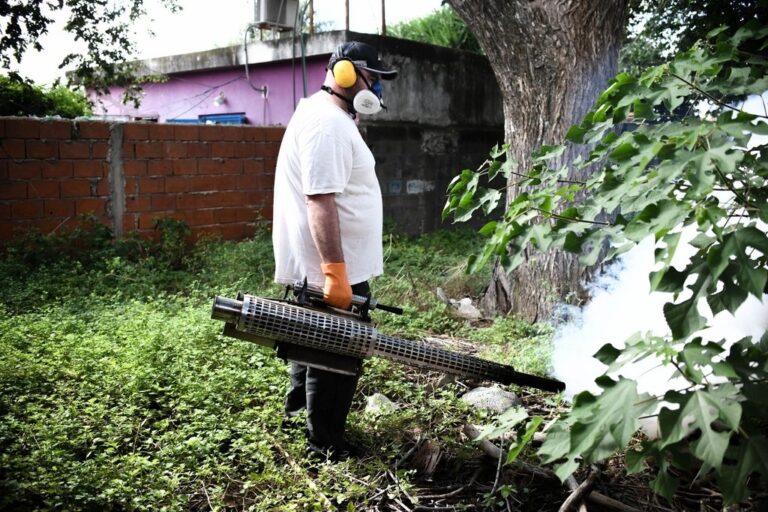 La fumigación resulta clave también para combatir el dengue en la provincia. Archivo