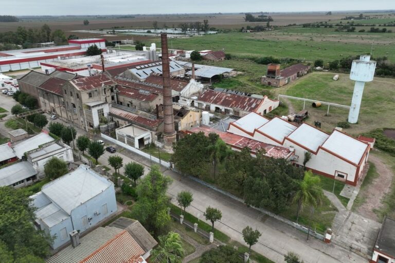 Portigliatti contó que se contrató a un estudio de arquitectura de Brasil