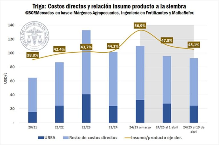 El análisis de la relación insumo-producto indica una mejora significativa