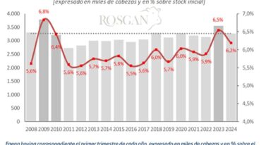 La participación de hembras en la faena sigue siendo elevada