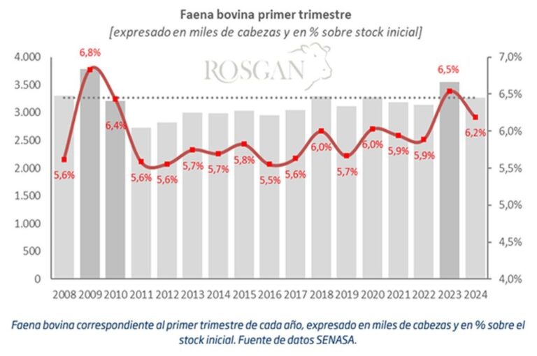 La participación de hembras en la faena sigue siendo elevada