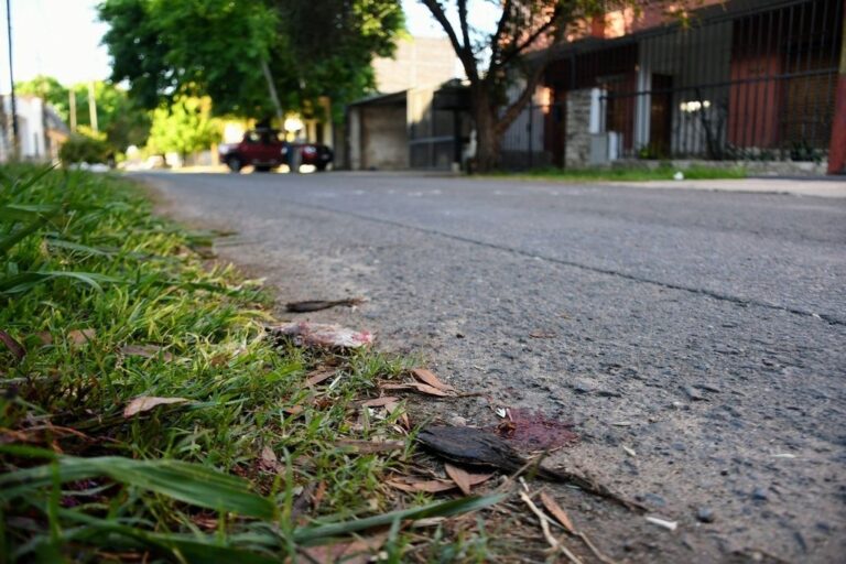 El cadáver fue encontrado en inmediaciones de Felipe Moré y Cisnero