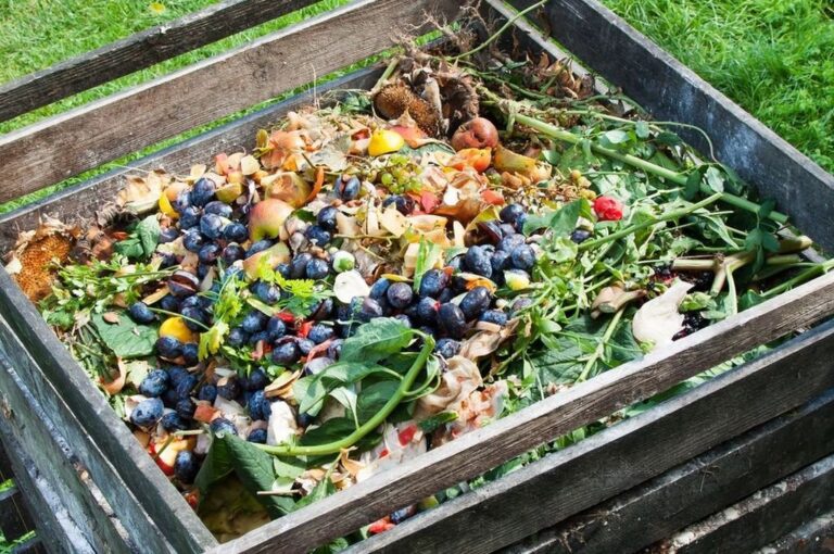 El compost es el resultado de un proceso biológico que tiene el objetivo de estabilizar e higienizar los residuos orgánicos para que estos puedan ser utilizados como fertilizante. Este proceso se conoce como compostaje. Gentileza