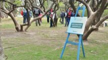 El Bosque de los Constituyentes forma parte del patrimonio colectivo y ambiental de la ciudad y tiene un enorme significado democrático e inclusivo por su acceso irrestricto y gratuito.  Gentileza.