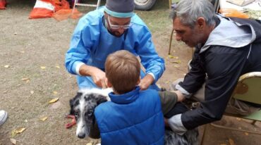 El trabajo de los médicos veterinarios con las mascotas inscriptas. Municipalidad de Rufino
