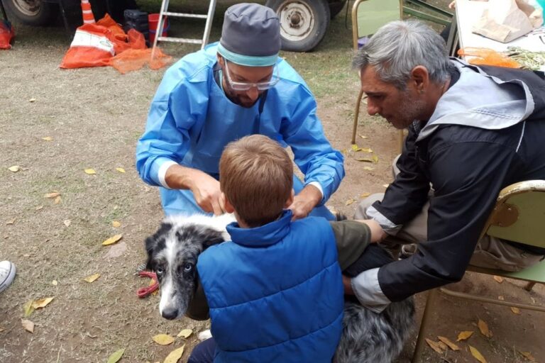 El trabajo de los médicos veterinarios con las mascotas inscriptas. Municipalidad de Rufino