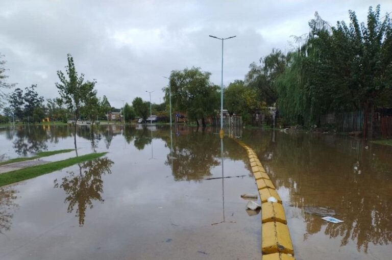 Hasta este miércoles