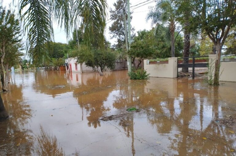El río Uruguay no da tregua en Concordia. Belén Fedullo