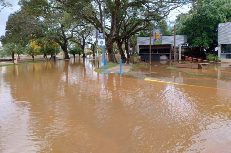 En la costanera ya se observa un retroceso del agua. Belén Fedullo