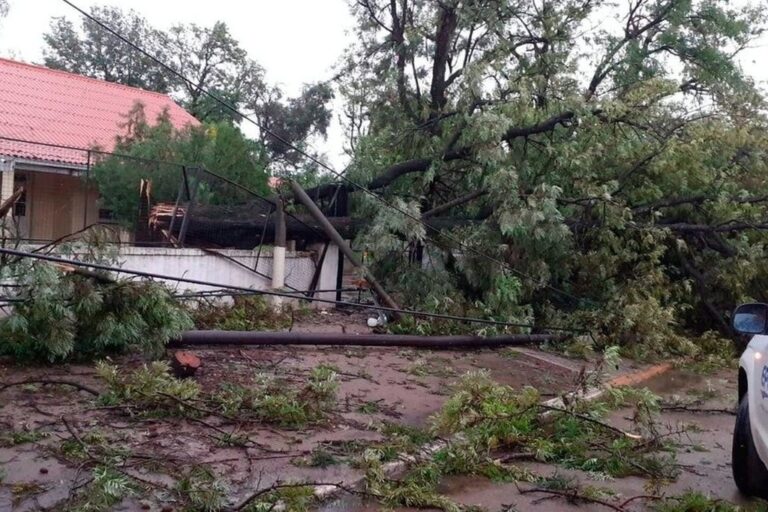 Un temporal de viento y agua afectó