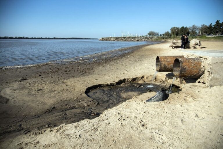 De acuerdo a la investigación
