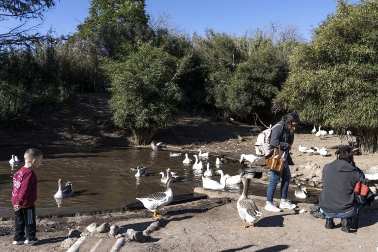 La Granja preparó una programación especial que se desarrollará del martes 28 de mayo al domingo 2 de junio. Mun. de Rosario