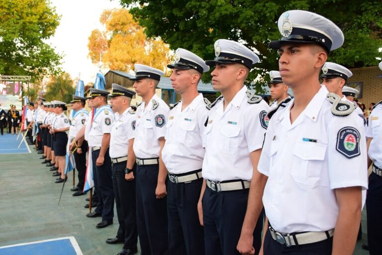 Se podrán cursar las distintas carreras