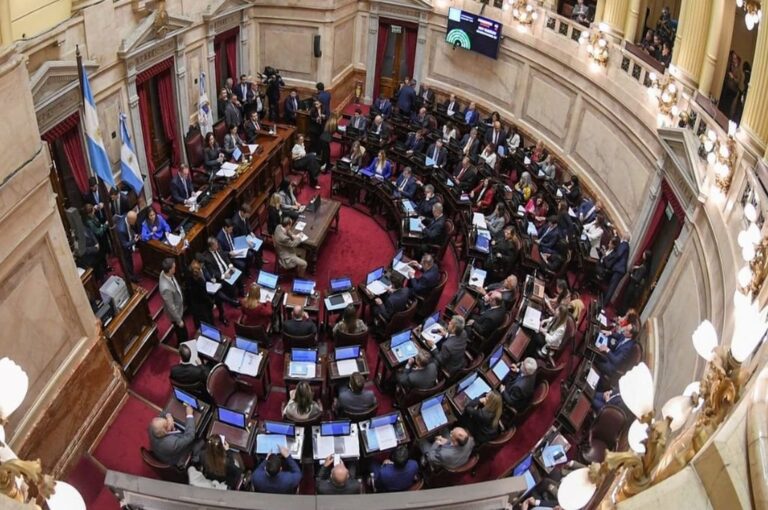 La Cámara Alta durante el debate del mega proyecto que envió Milei al Congreso