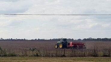 Lote con rastrojo de soja temprana (de primera); en proceso de siembra de trigo
