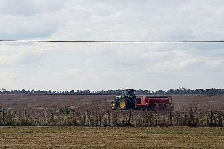 Lote con rastrojo de soja temprana (de primera); en proceso de siembra de trigo