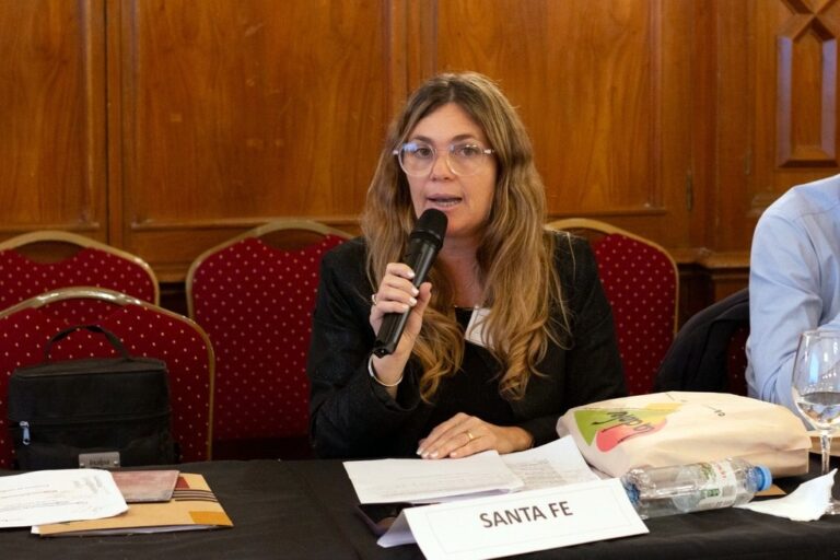 Según la diputada Di Stefano