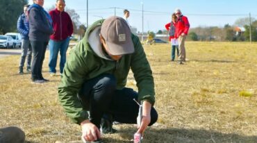 Los 100 lotes se encuentran distribuidos en diferentes sectores